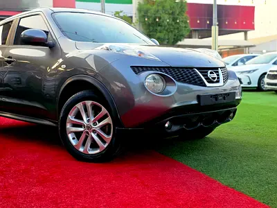2014 Nissan JUKE — фото 9