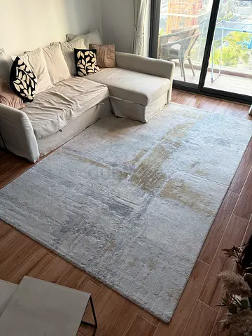 Light grey modern area rug - 2.5 x 3.5m, good condition