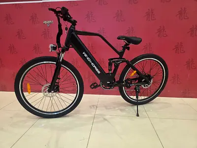 Electric bicycle
