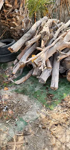 Bundle of mixed firewood logs — good for BBQ or firepit