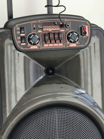 Portable wheeled speaker