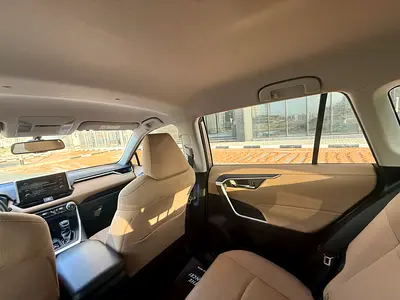 2019 Toyota RAV 4 照片 15