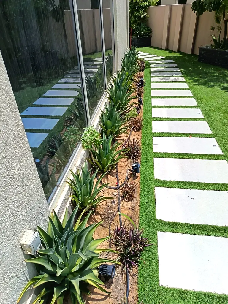 DPV_View_Image_1