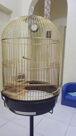 Round metal bird cage on brand new