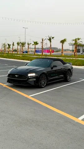 2019 Ford Mustang Ecoboost Premium - American Specs - Excellent Condition
