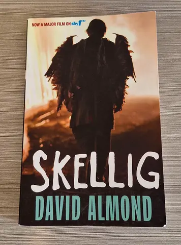 Skellig book by David Almond
