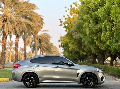 2019 BMW XM photo 17