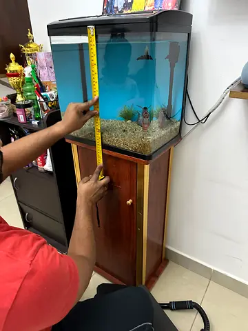 Curved Glass Fish Tank with Wooden Stand