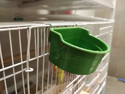 Green Plastic Clip-On Bird Feeder/Water Bowl - Good Condition