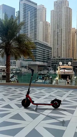 Ninebot D28E Electric Scooter