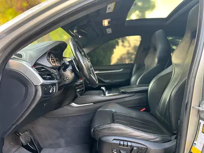 2019 BMW XM photo 12