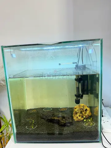 Used Glass Aquarium Tank with Filter and Substrate - 40X40X35