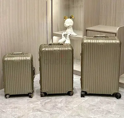 Tatinum luggage set