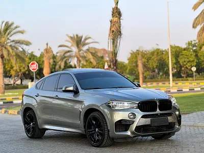 2019 BMW XM photo 3