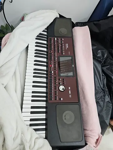 Korg pa700 arranger keyboard