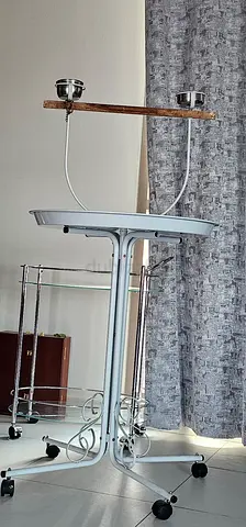 Bird Play Stand – Good Condition