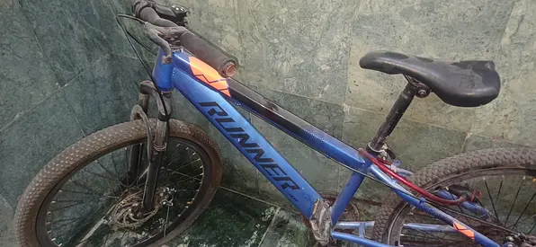 Blue cycle