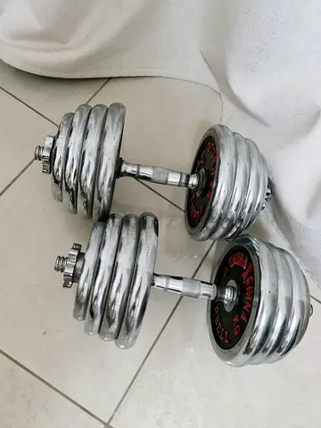 Adjustable Chrome Dumbbell Pair with Spinlock Collars