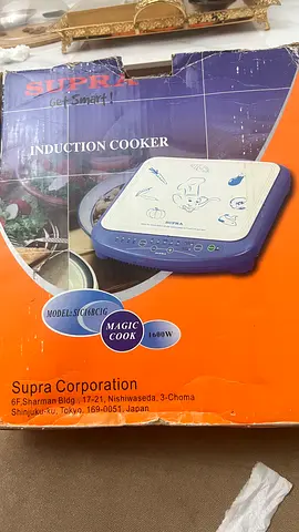 Electric ceramic cooker