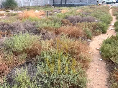 Residential land with villa for sale in Al Yasmin area - Ajman | Area 280 m² | Prime location close to all services | Freehold ownership for all natio