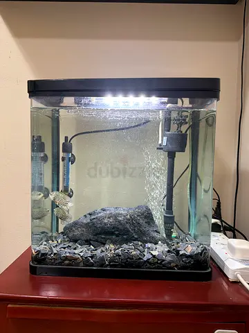 Aquarium for sale