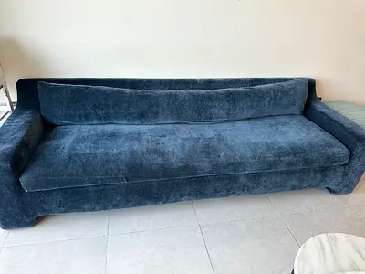 CB2 sofa for free