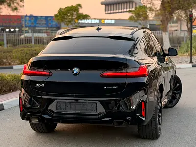 BMW X4 xDrive30i M Sport, миниатюра 9