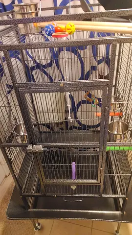Large metal bird cage with stand and accessories