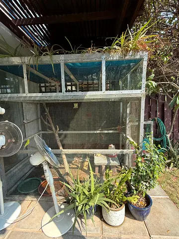 Large Outdoor Metal Mesh Bird Aviary Cage