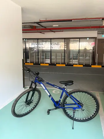 James Jordan Blue Mountain Bike