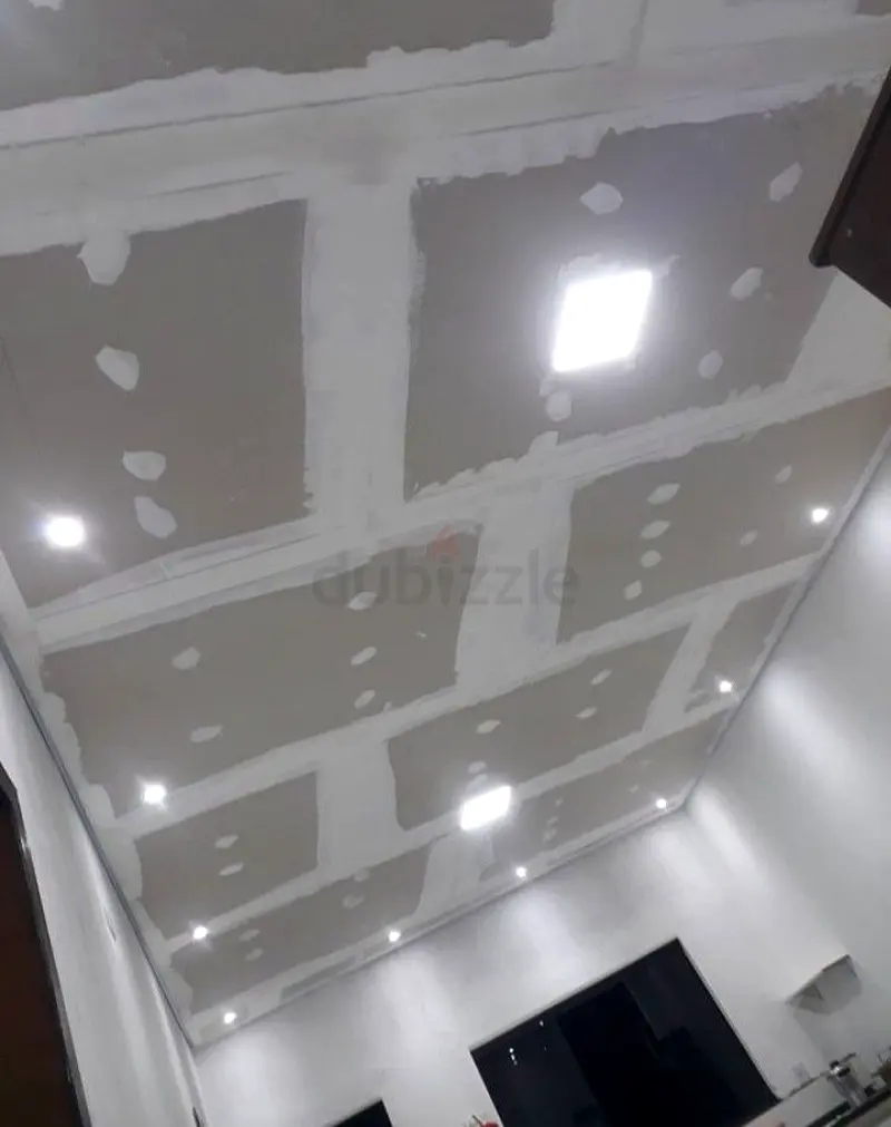 DPV_View_Image_2