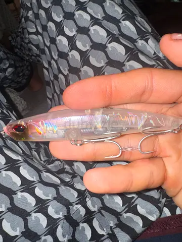 108mm Long-Cast Sinking Pencil – Holographic Saltwater Lure | 27 grams
