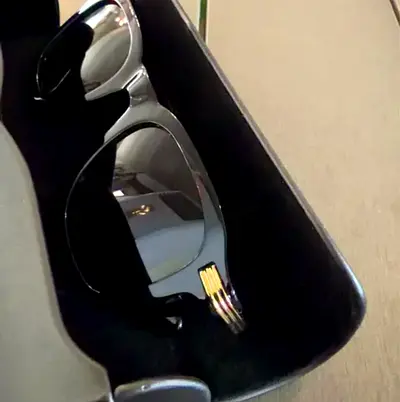 Black sunglasses with protective case - lightly used