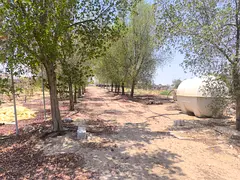 Farm in Al Khatim for rent