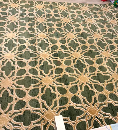 Large green patterned area rug — gently used