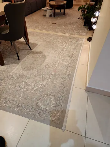 Large light grey Persian-style area rug — excellent condition