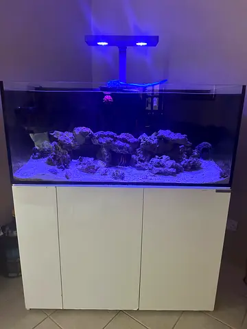 310 L Aqua Medic Saltwater Aquarium Setup with Live Rock, marine fish and filtration media