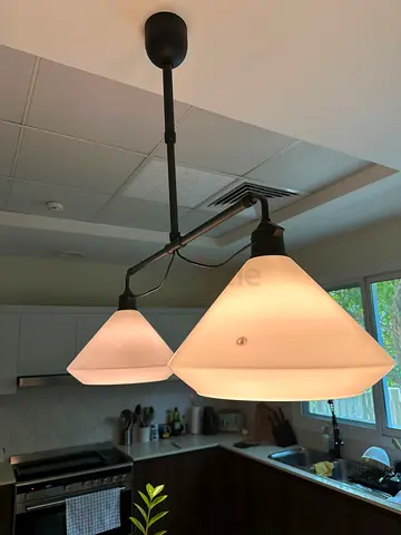 Double pendant light
