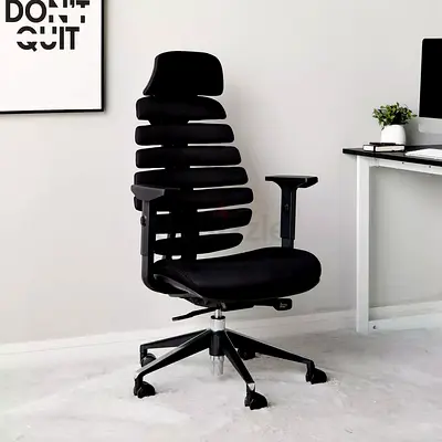 Ergonomic Spinal Office Chair