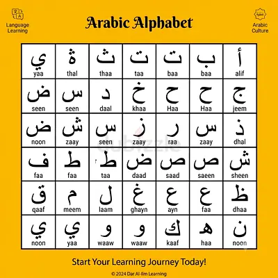 Professional Private Tutor - Arabic, Islamic Studies & Math معلم خصوصي - لغة عربية، تربية إسلا