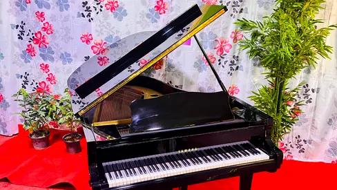 Yamaha G5 Grand Piano Made in Japan | Premium Acoustic Piano