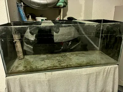Large glass aquarium tank (used) - needs cleaning, 130x50x45cm with table, filter