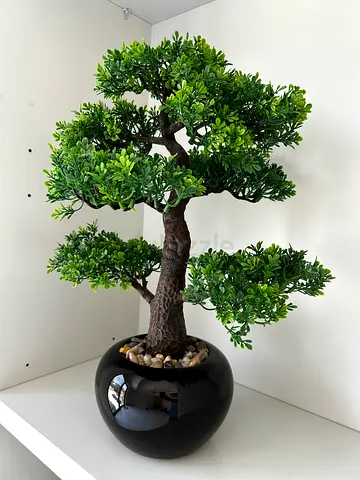 Artificial Bonsai Tree in Black Ceramic Pot - Decorative Indoor Plant