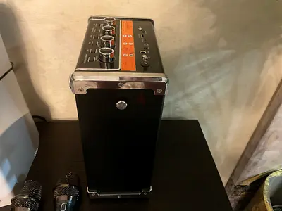Karaoke mic and speaker