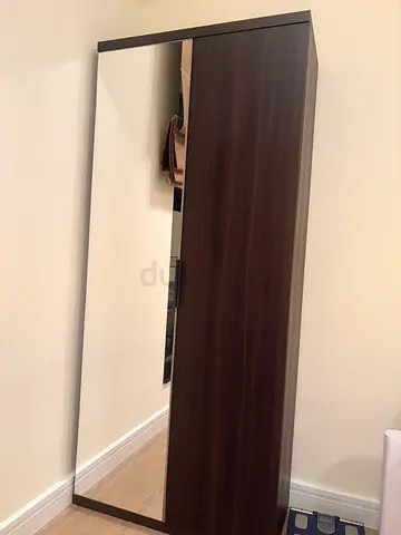 Large Mirror cupboard with Dark Wood Frame - Modern Rectangular