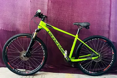 Mountain bike