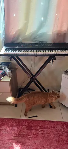 KEYBOARD 61KEYS with stand