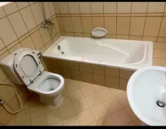 Executive Male Room for rent