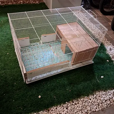 Rabbit, Pet Cage with wooden house