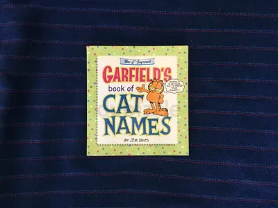 Garfield’s Book of Cat Names